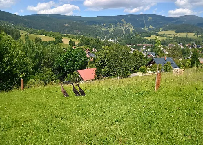 Vyhledovka Chalet