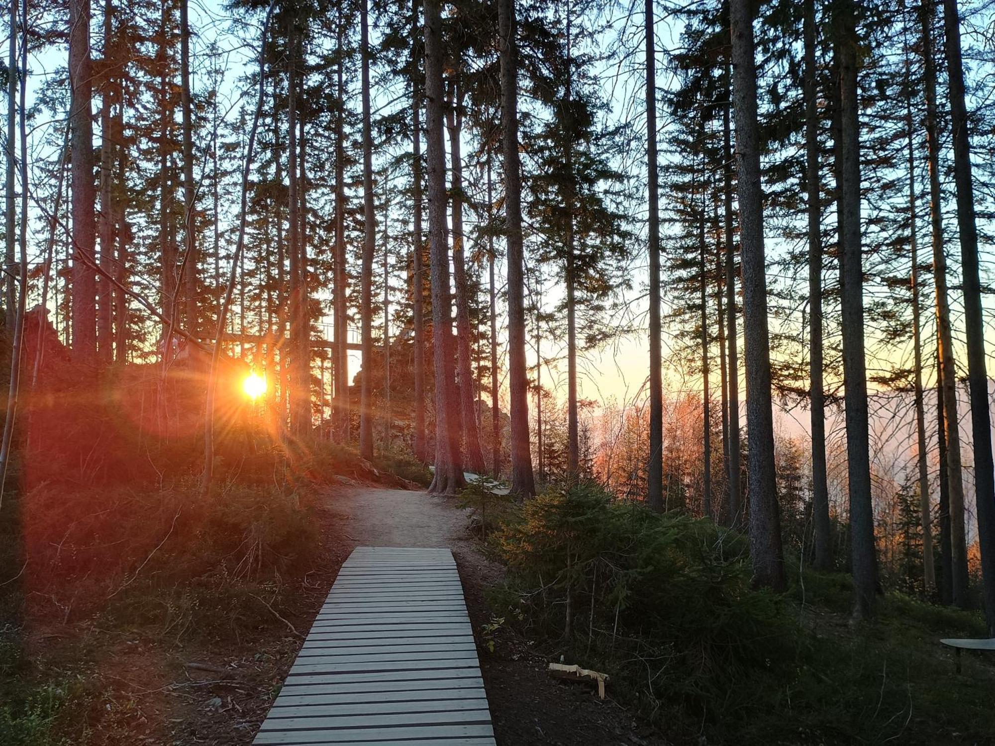 Vyhledovka * Rokytnice nad Jizerou