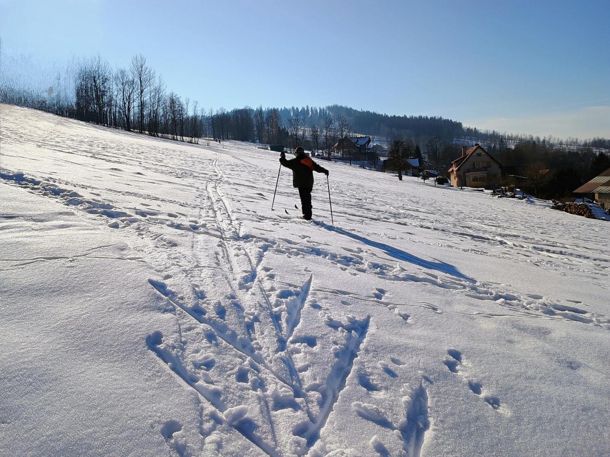 Vyhledovka * Rokytnice nad Jizerou